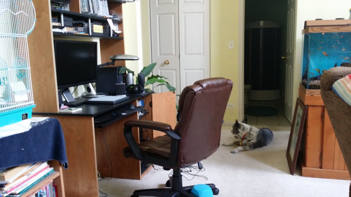 The house is way too quiet today!