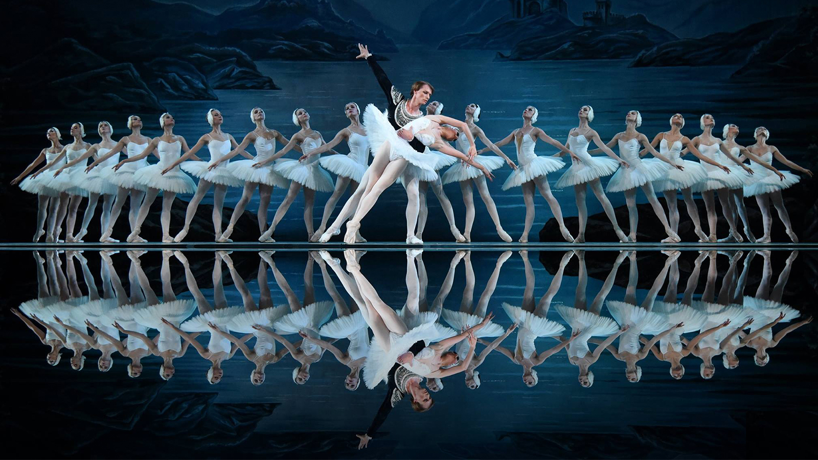 swan lake